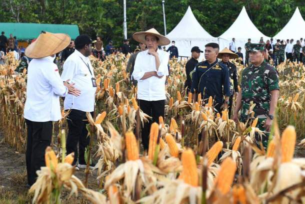 Jokowi Tunjuk Luhut Jadi Ketua Satgas Hilirisasi RI-Papua Nugini