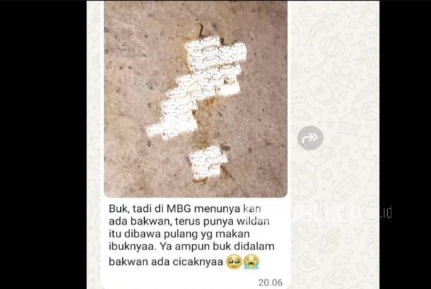 Cicak Ditemukan di Dalam Bakwan MBG di Gunungkidul, Sempat Dikunyah Lalu Dimuntahkan 