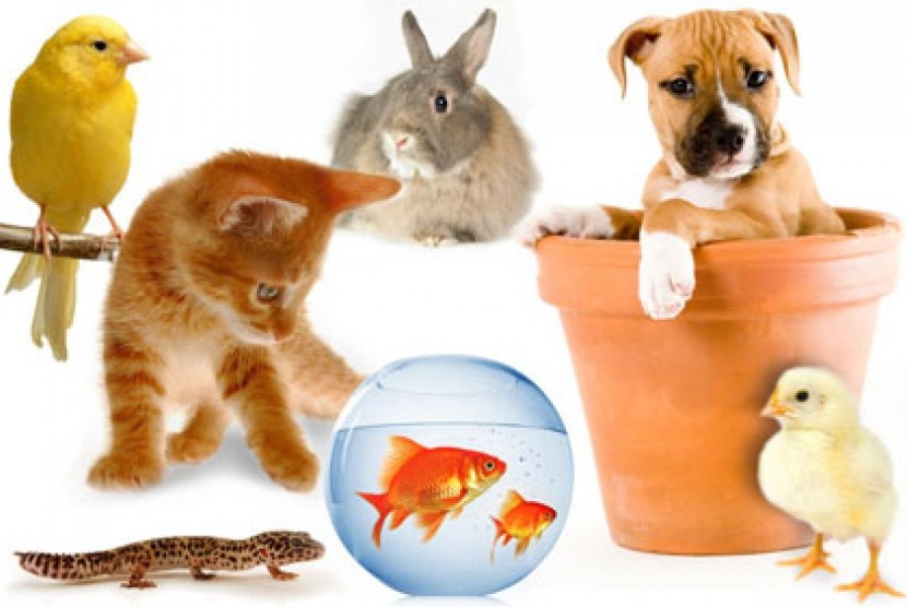 Ini Dia, Yang Suka Di Beli Oleh Anak-anak Masa Dulu Di Bulan Puasa!