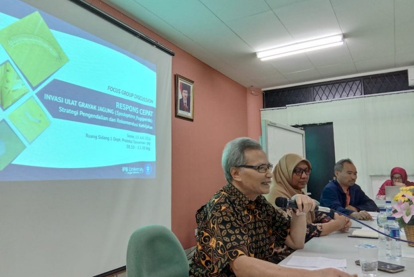 soal-hama-impor-jagung-ini-rekomendasi-guru-besar-ipb