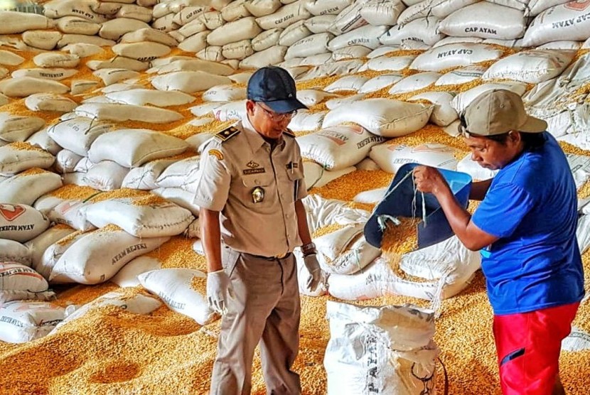 Pemerintah Berhasil Capai Swasembada Beras dan Jagung