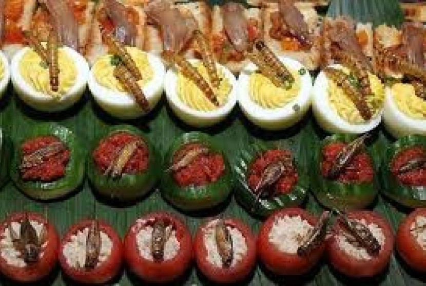 tidak-halal-qatar-larang-konsumsi-serangga