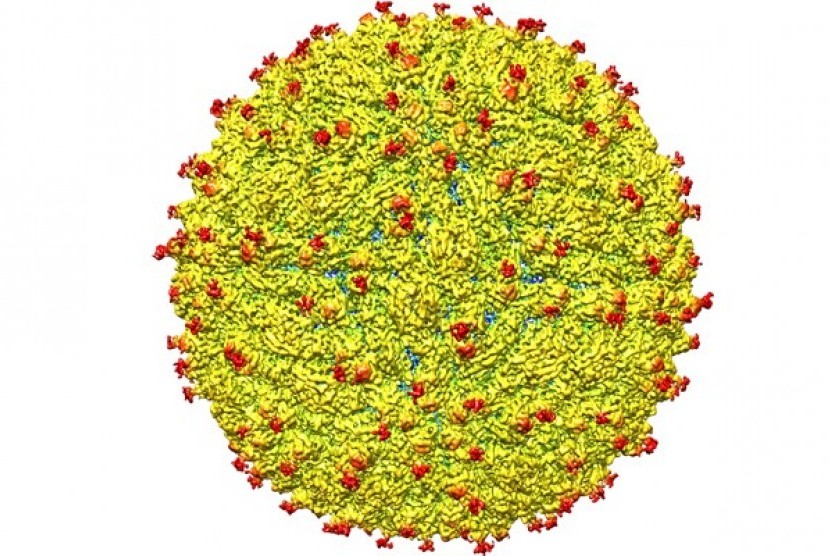 Singapura Konfirmasi 41 Kasus Penularan Zika
