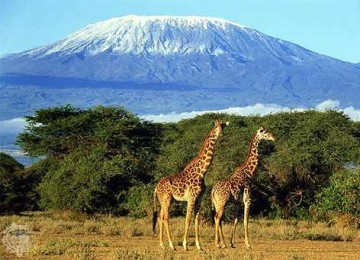 10 Gunung Api yang Gemparkan Dunia