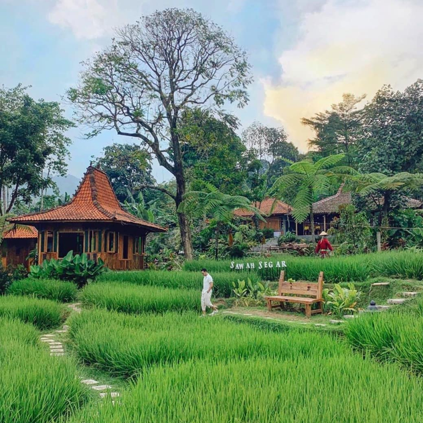 5 Rekomendasi Restoran Dengan Pemandangan Terindah Di Sentul, Bogor