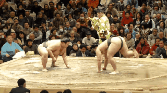 Shokkiri Sumo Komedi Yang Mengundang Gelak Tawa