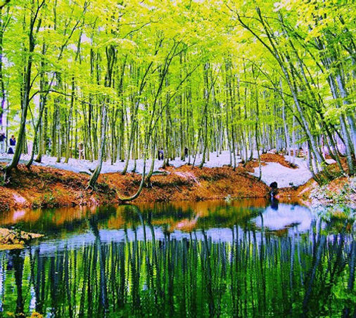 Bijinbayashi, Tempat Wisata di Jepang Yang Jarang Diketahui