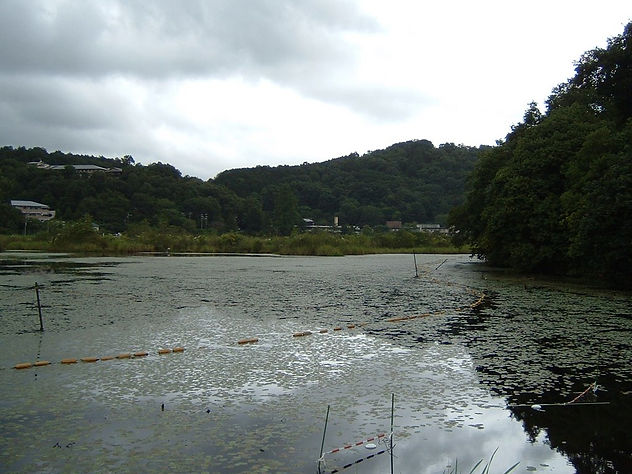 Hiiiii, Danau Midorogaike Daerah Paling Angker di Kyoto