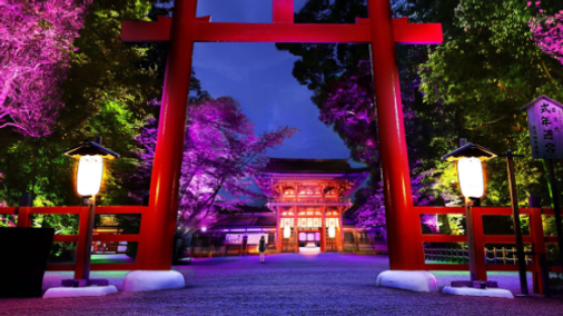 Cahaya Indah Yang Menghiasi Hutan Purba di Kyoto