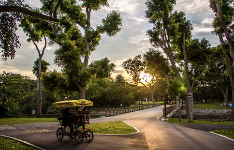 Saatnya Impian Jadi Nyata: Pasir Ris Park, Berkelana ke Ujung Timur Singapura