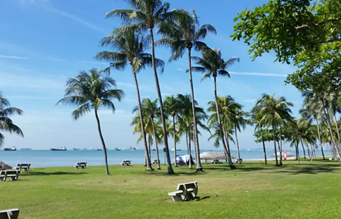 Saatnya Impian Jadi Nyata: Pasir Ris Park, Berkelana ke Ujung Timur Singapura