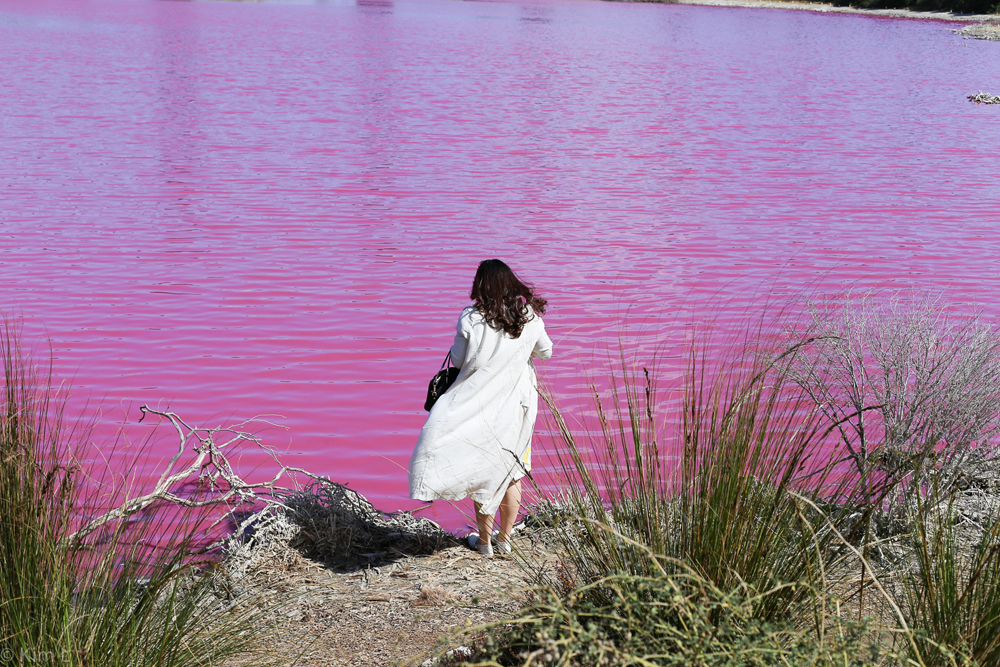 Danau di Australia Berubah Warna Menjadi Pink, Kok Bisa?