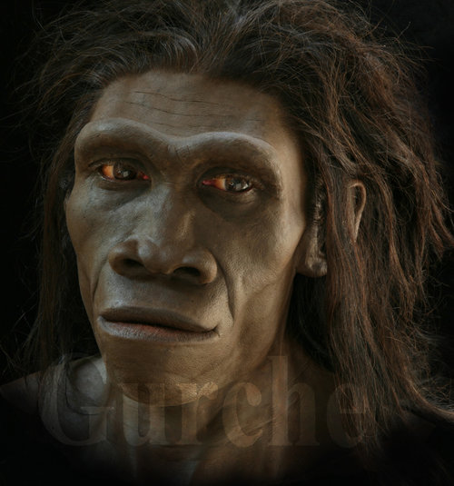 Rekonstruksi Wajah Kera Purba Dari Genus Homo