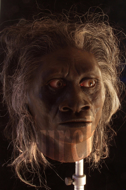 Rekonstruksi Wajah Kera Purba Dari Genus Homo