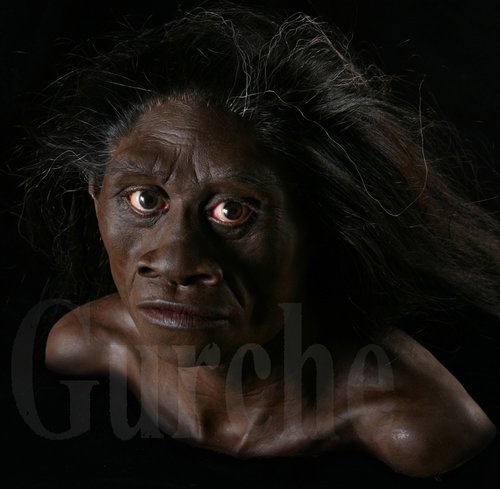 Rekonstruksi Wajah Kera Purba Dari Genus Homo