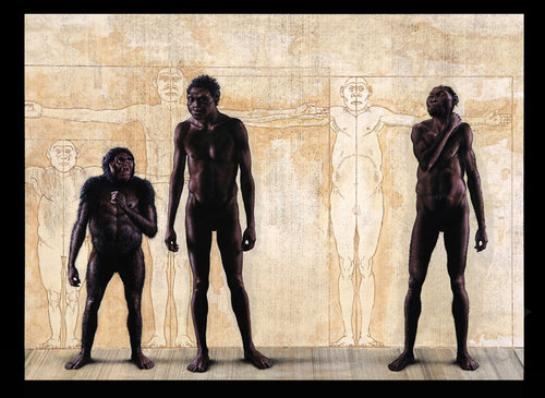 Rekonstruksi Wajah Kera Purba Dari Genus Homo