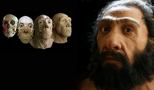Rekonstruksi Wajah Kera Purba Dari Genus Homo