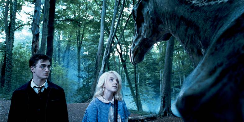 11 Fakta GUuILAAAkK Lak Laak!!! Ada apa dgn NEWT SCAMANDER dan HARRY POTTER????