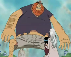 Kata-Kata mutiara dalam anime one piece (OP lovers masuk!!!)