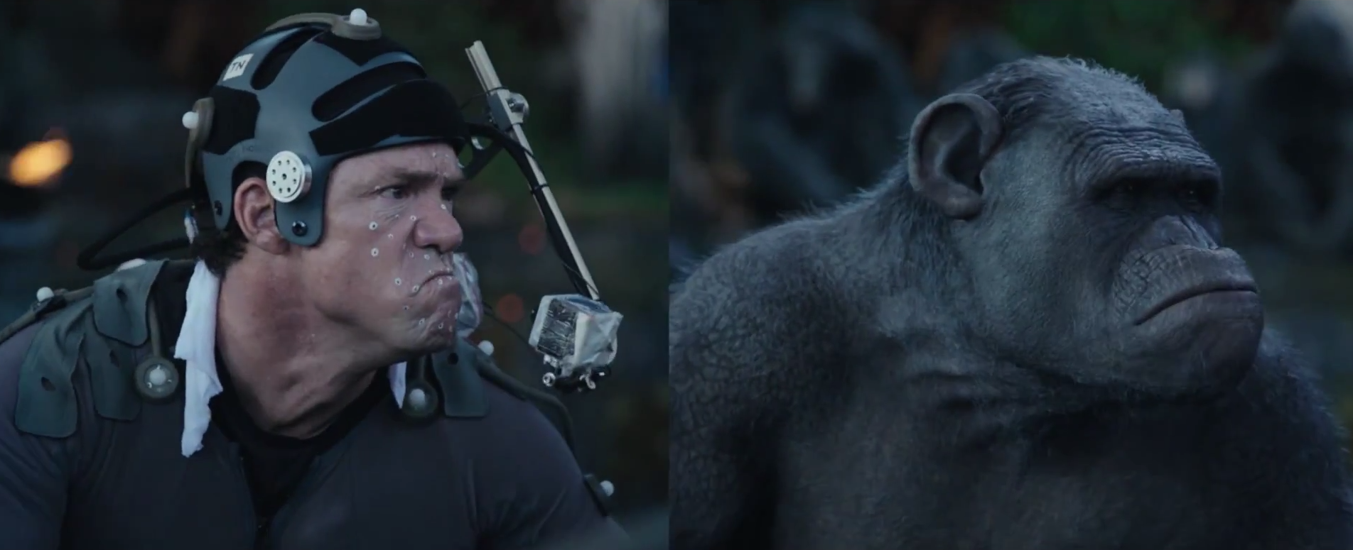 Di Belakang Layar Pembuatan Film Dawn of the Planet of the Apes