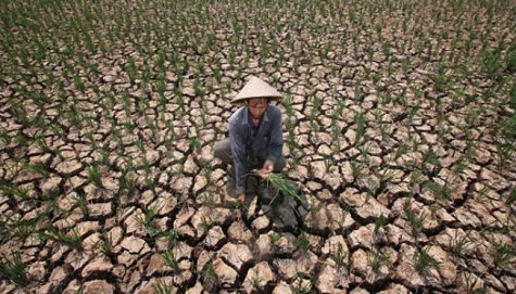 Bencana Kekeringan sampai Desember 2012, akibat Serbuan Kebun Sawit yg Berlebihan?