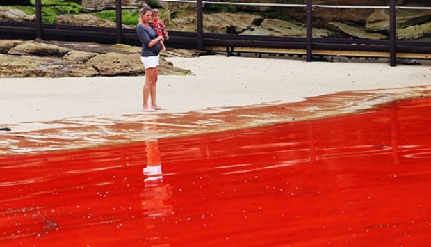 {NGERI GAN} ==&gt;&gt; AIR LAUT ini Berwarna Merah Darah