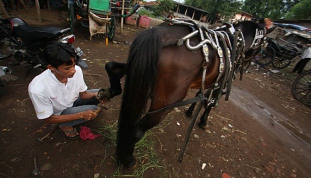 Bengkel Andong ini Bertahan Sejak Zaman Kolonial