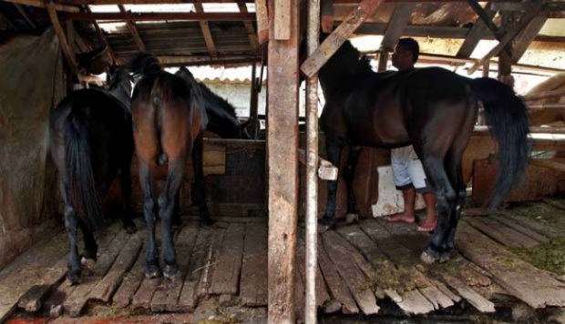 Bengkel Andong ini Bertahan Sejak Zaman Kolonial