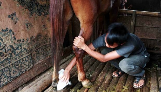 Bengkel Andong ini Bertahan Sejak Zaman Kolonial