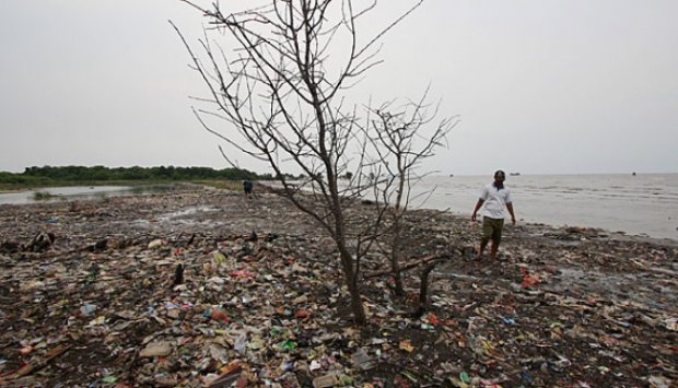 Wajah Pantai Tanjung Burung Tangerang, Tak Seindah Namanya