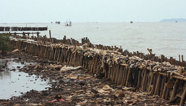 Wajah Pantai Tanjung Burung Tangerang, Tak Seindah Namanya