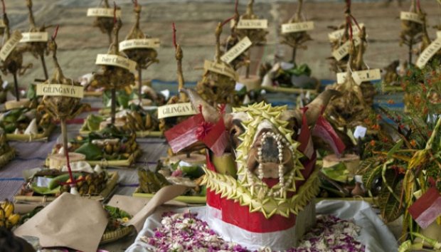 Upacara Cembengan Sebagai Tanda Dimulainya Musim Giling