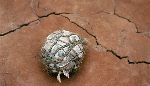 Tanpa Bola, Anak-anak di Afrika Masih Bisa Bermain Bola