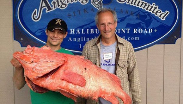 Ikan Langka Ini Lebih Tua dari Negara Alaska