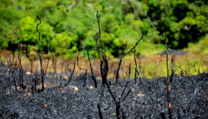 Kebakaran Gunung Bulusaraung Karena Puntung Rokok &#91;+PIC INSIDE&#93;