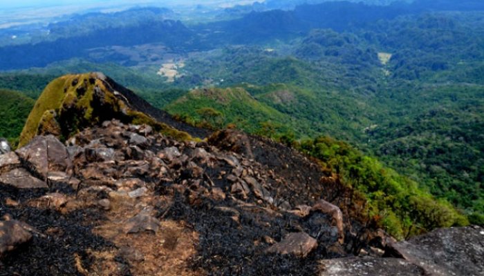 Kebakaran Gunung Bulusaraung Karena Puntung Rokok &#91;+PIC INSIDE&#93;