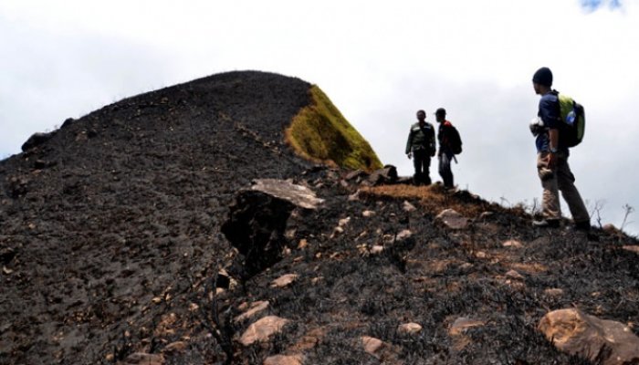 Kebakaran Gunung Bulusaraung Karena Puntung Rokok &#91;+PIC INSIDE&#93;