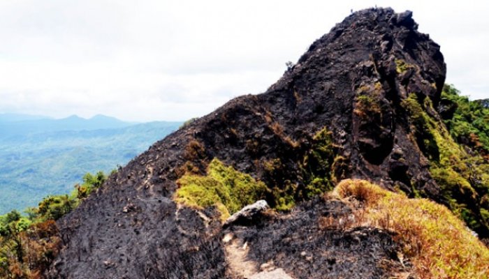 Kebakaran Gunung Bulusaraung Karena Puntung Rokok &#91;+PIC INSIDE&#93;