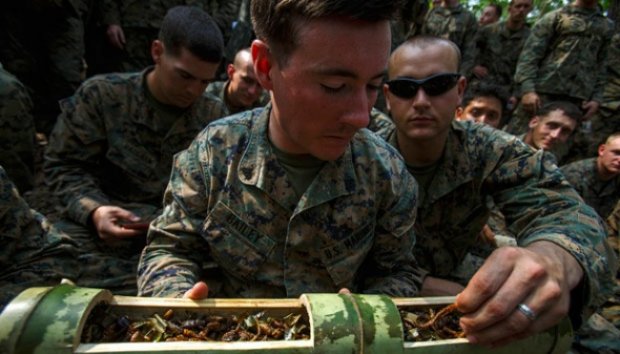 Makanan &quot;Ekstrim&quot; Saat Latihan Gabungan Cobra Gold 2014