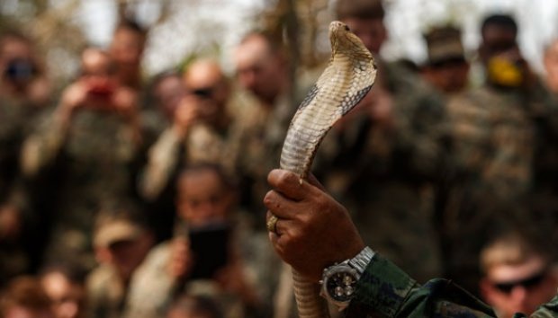 Makanan &quot;Ekstrim&quot; Saat Latihan Gabungan Cobra Gold 2014