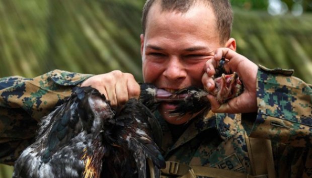 Makanan &quot;Ekstrim&quot; Saat Latihan Gabungan Cobra Gold 2014