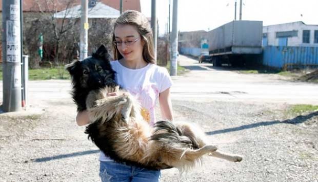 Bocah 13 Tahun Selamatkan Ratusan Anjing dengan Facebook