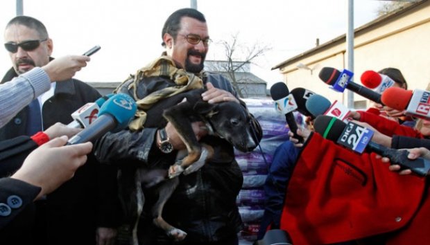 Bocah 13 Tahun Selamatkan Ratusan Anjing dengan Facebook