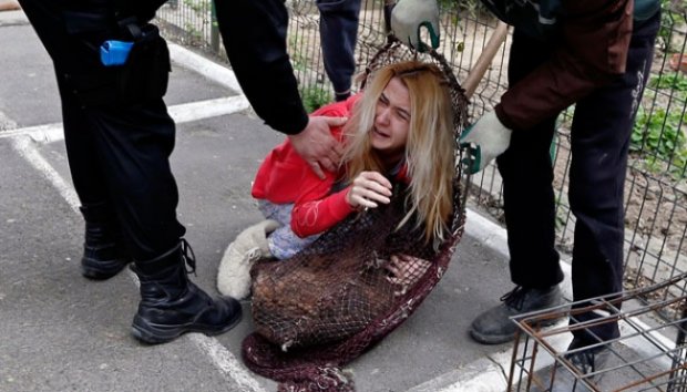 Bocah 13 Tahun Selamatkan Ratusan Anjing dengan Facebook