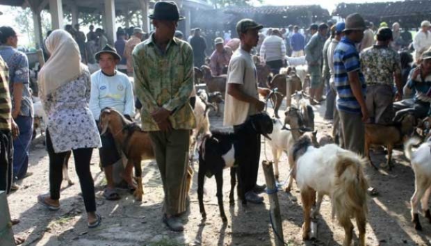 Pasar Ketitang, Pasar Khusus Kambing dan Kerbau