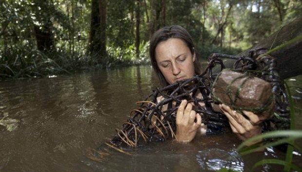 Claire Dunn, Wanita yang Memilih Tinggal di Tengah Hutan