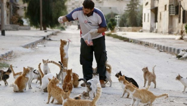 tiap-harinya-sopir-ambulans-ini-memberi-makan-150-kucing