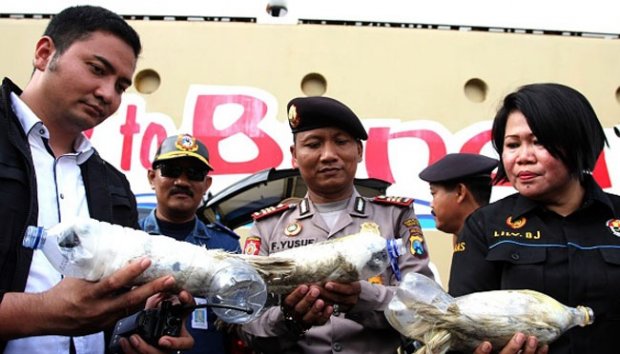 KEJAM! penyelundupan 24 burung kakak tua lewat botol!