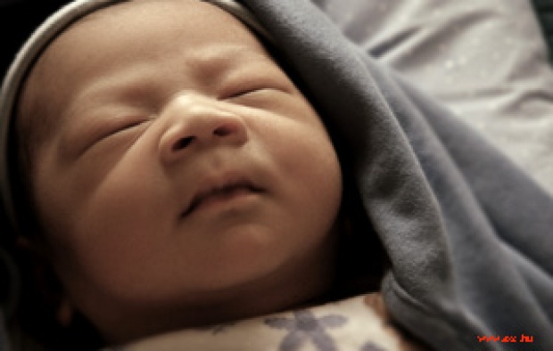 Catatan Sipil Jerman Larang Anak Dinamai Wikileaks