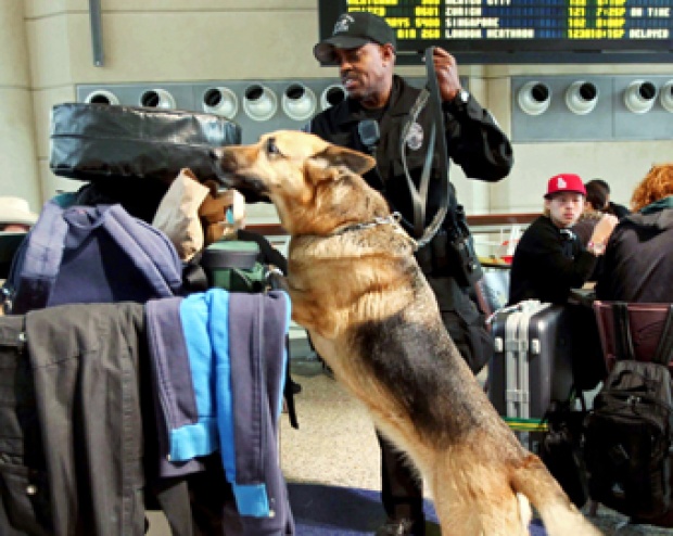 Penembak Bandara Los Angeles: Paul Ciancia